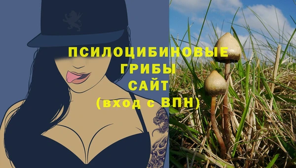 СК Абдулино