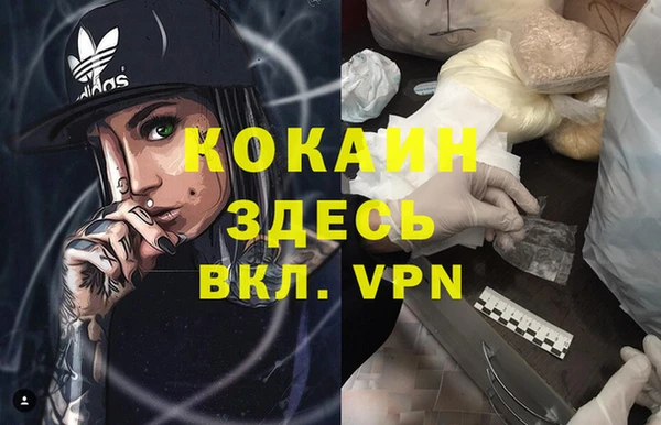 тгк Абинск
