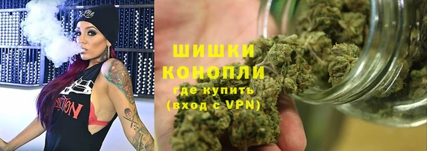 дурь Алзамай